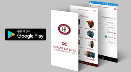 app las lilas